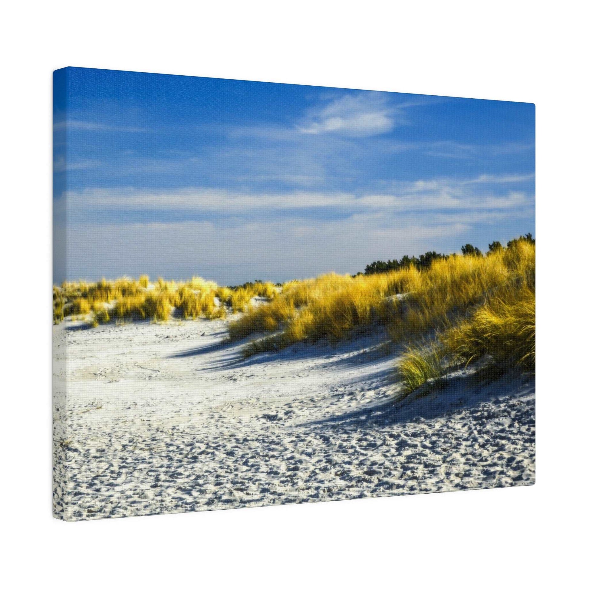 Beach scene with pale sand, golden dune grasses, and a blue sky.