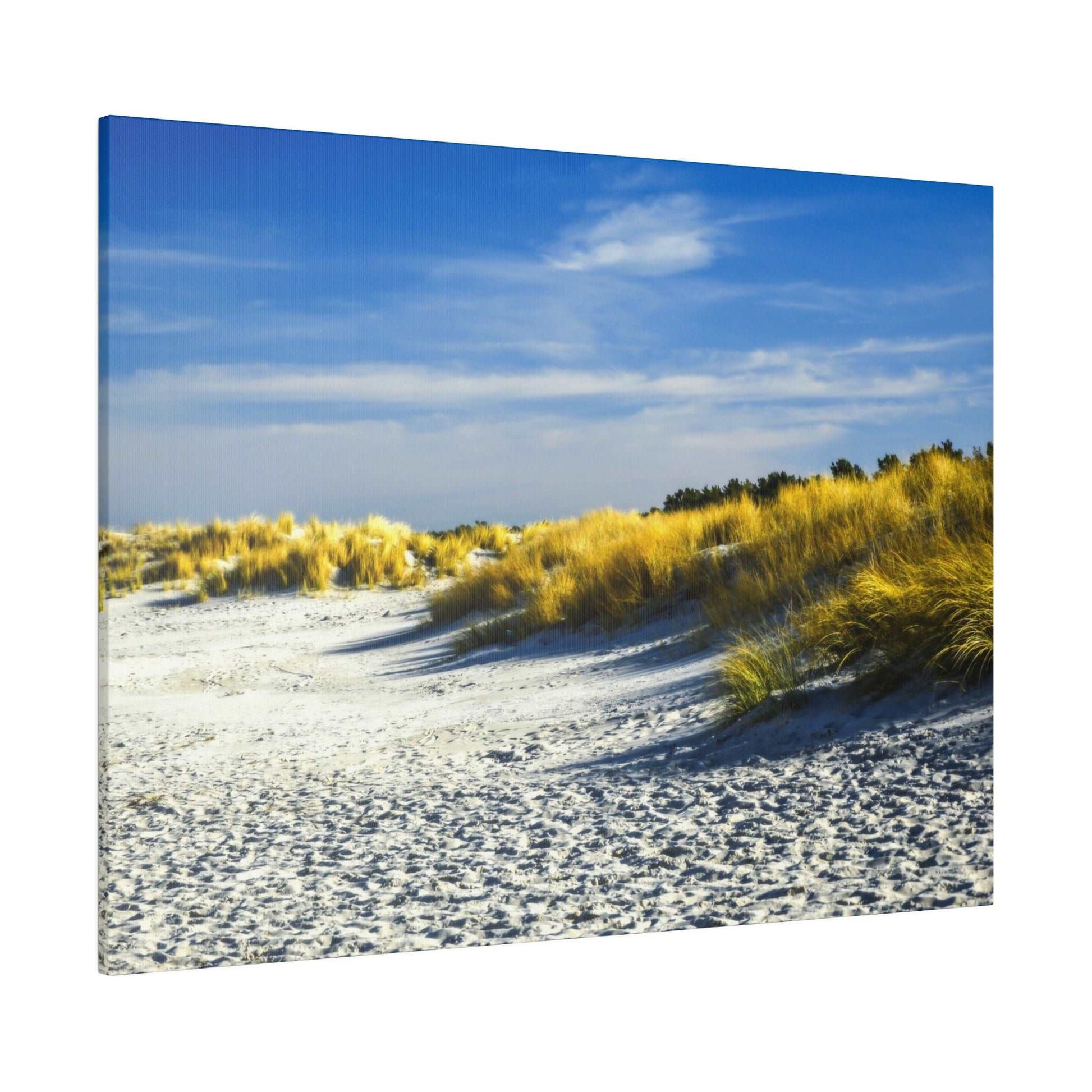 Sandy beach with wind-blown golden dune grasses under a blue sky.