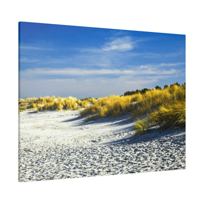 Sandy beach with wind-blown golden dune grasses under a blue sky.