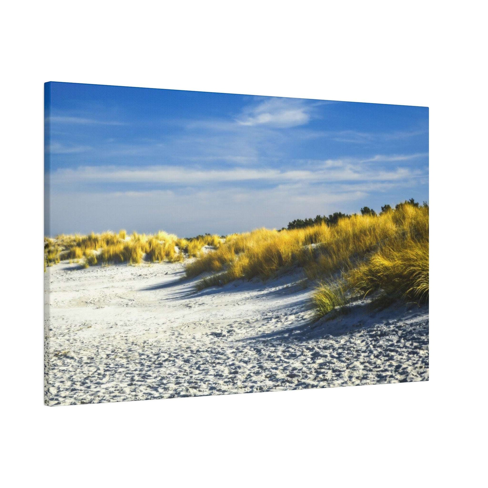 Sunlit beach with white sand and tall golden dune grasses under a blue sky.