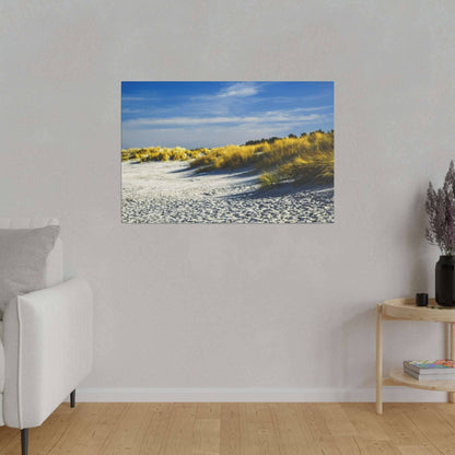 Framed beach scene on a wall: white sand, golden dune grasses, and blue sky.