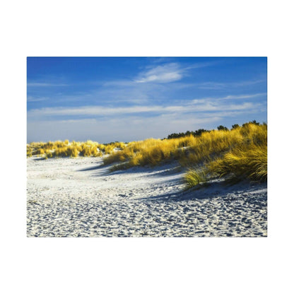 Sunlit beach with white sand and golden beach grass dunes under a blue sky.