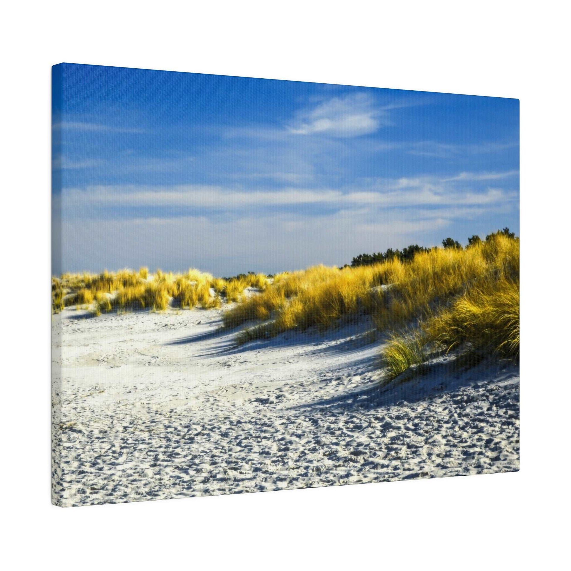 Sandy beach with wind-swept golden dune grasses under a blue sky.