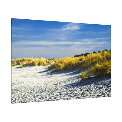 Sunny coastal scene with white sand, golden beach grasses, and a blue sky.