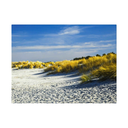 Sandy beach with tall golden dune grasses under a blue sky with wispy clouds.