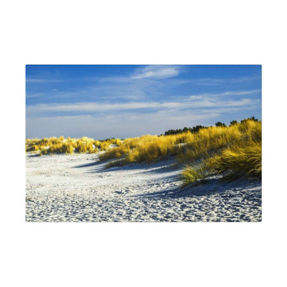 Sandy beach with yellow dune grasses and a bright blue sky over the shoreline.