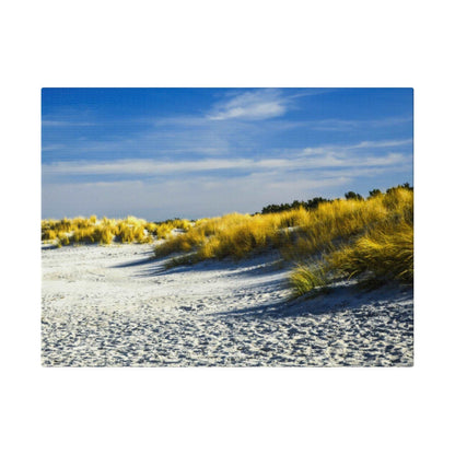Beach scene with pale sand and wind-swept yellow dune grasses under a bright blue sky.