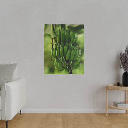 Print of a dense cluster of green bananas hanging from a stalk against a blurred green background.