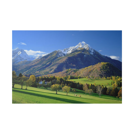 A picturesque view of green pastures and trees with grazing cows, with the majestic snow-capped mountains in the background and a clear blue sky.