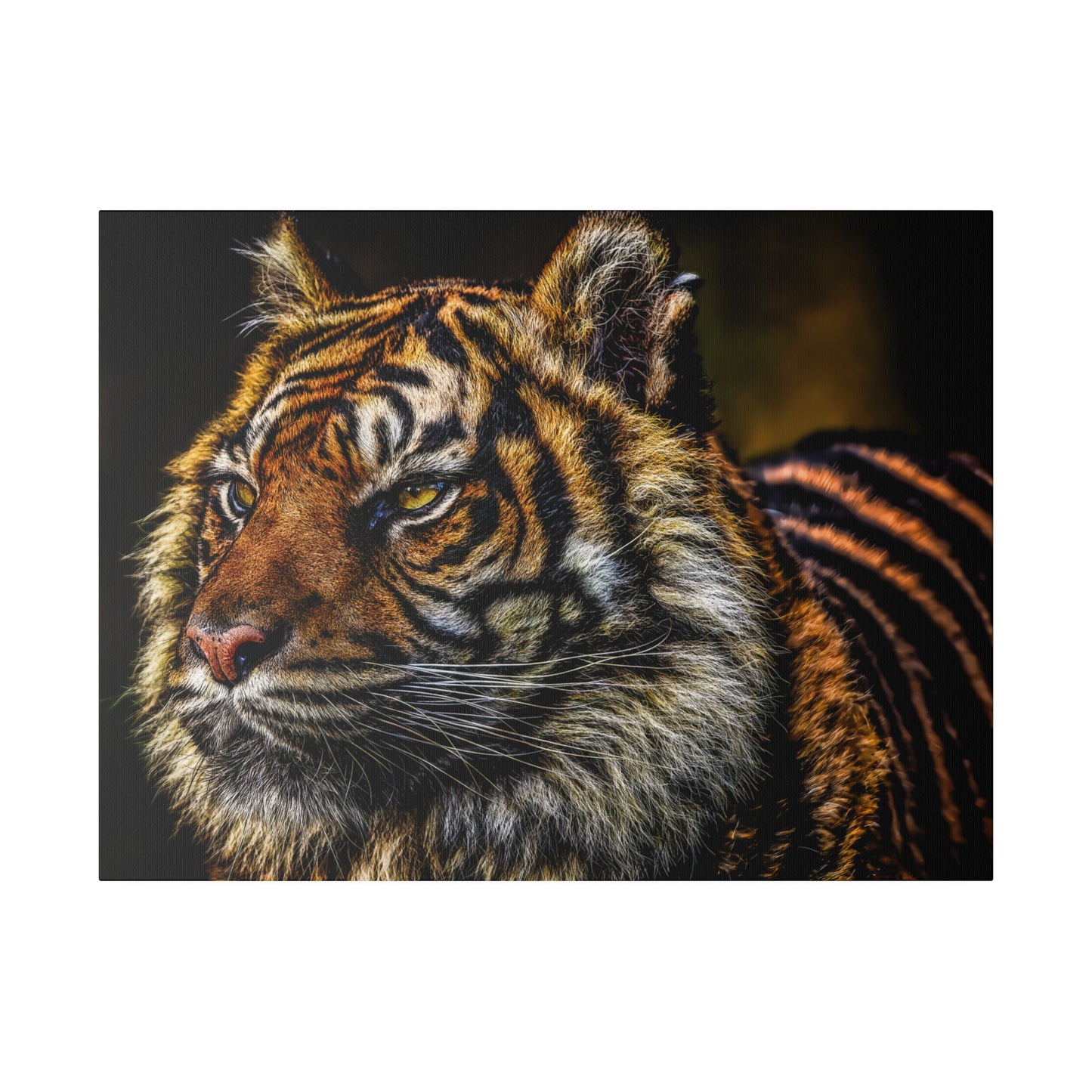 A striking close-up of a tiger's face, emphasizing the detailed patterns of its fur and the intensity in its gaze. The portrait captures the tiger's majestic nature.