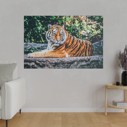 Large canvas print of a tiger resting on a rock, with green foliage in the background.