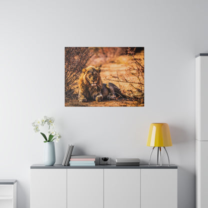 A framed photo of a reclining adult lion with a golden mane in a warm savanna, hung above a white cabinet on a pale wall.