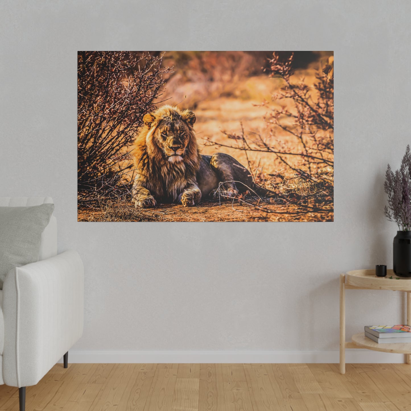 A lion lying in dry terrain among bushes, bathed in warm sunlight. The lion's regal mane and intense gaze showcase its powerful presence in the wild.