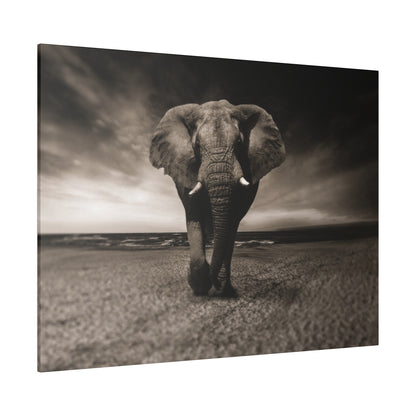 A sepia-toned elephant walks on a sandy beach toward the viewer, with a cloudy sky behind.