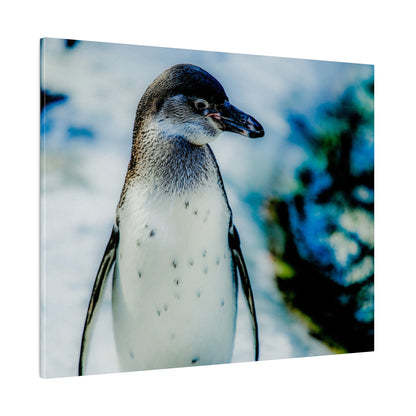 Close-up of a penguin standing upright against a snowy, blue-toned icy backdrop.