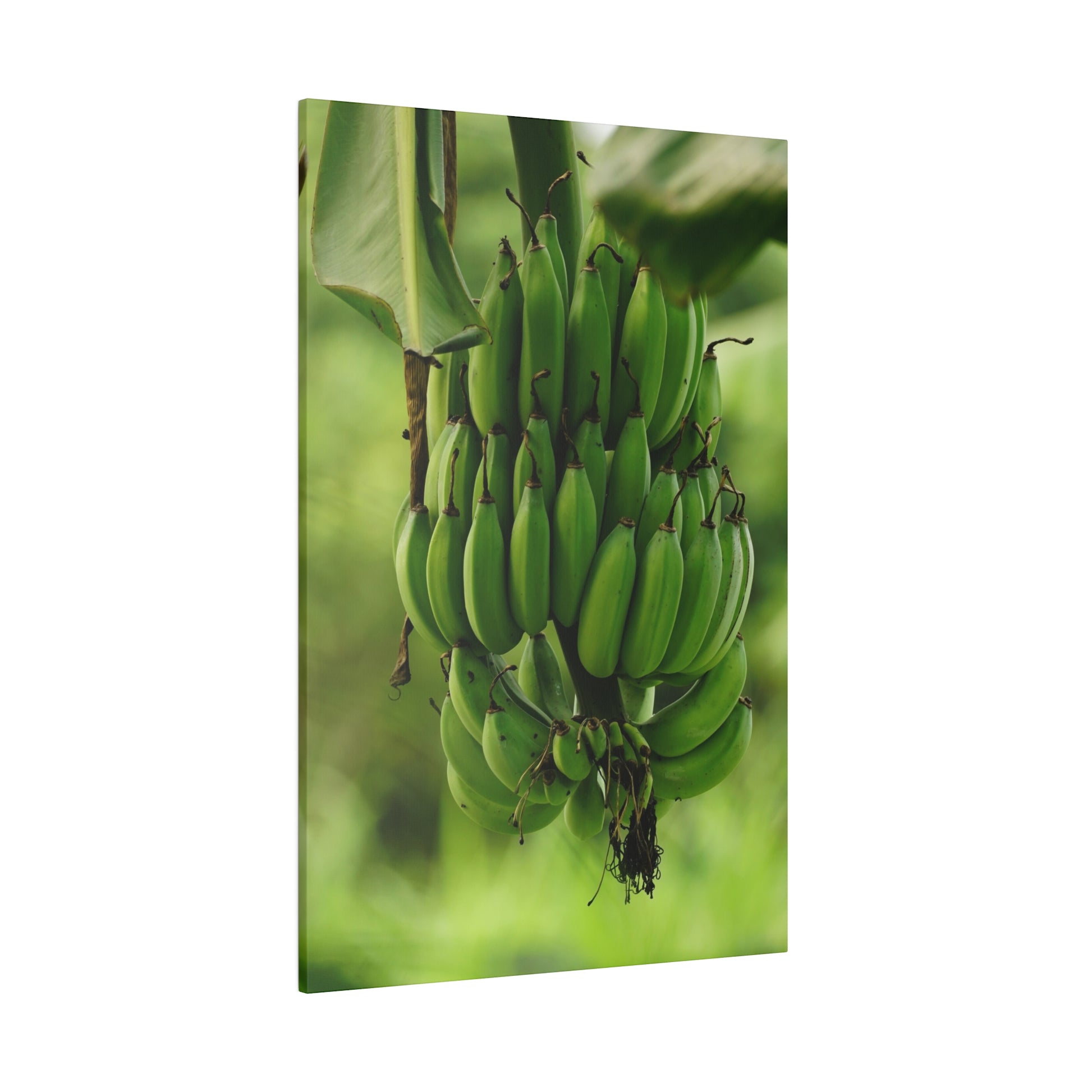 Vertical wall art print of a hanging green banana bunch against a blurred green background.