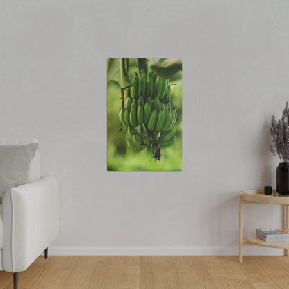 Vertical wall art depicting a green banana bunch hanging from a stem against a blurred green background.