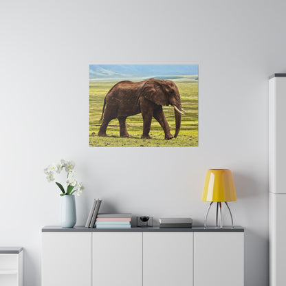 Framed wall art showing a brown African elephant walking on grassy savanna, hung on a white wall.