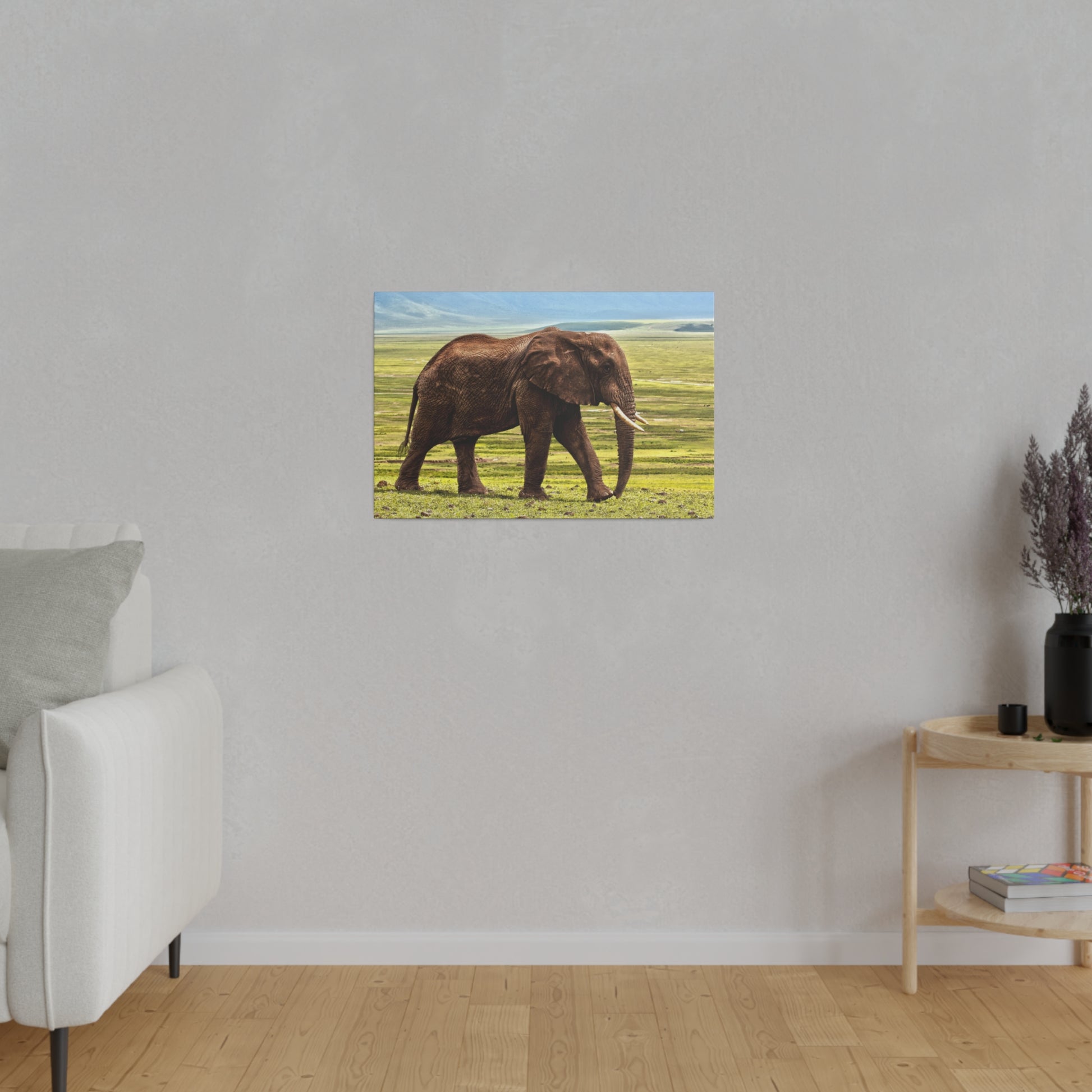 Color photo print of a brown African elephant walking on a grassy savannah, mounted on a gray wall above a wooden floor.