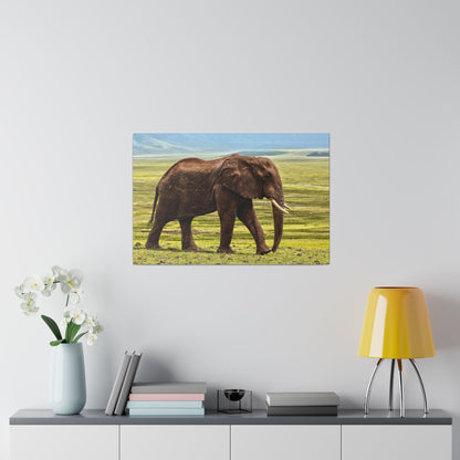 Brown African elephant walking across a grassy savannah with a blue sky background, shown as wall art.