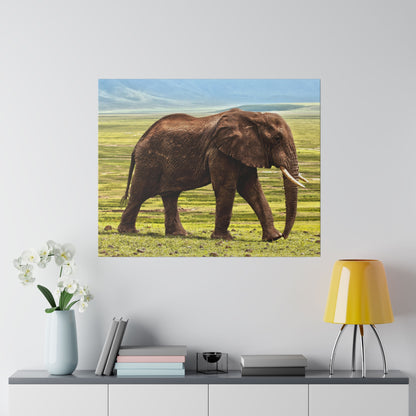 Square wall art featuring a brown African elephant walking across a green savannah under a blue sky.