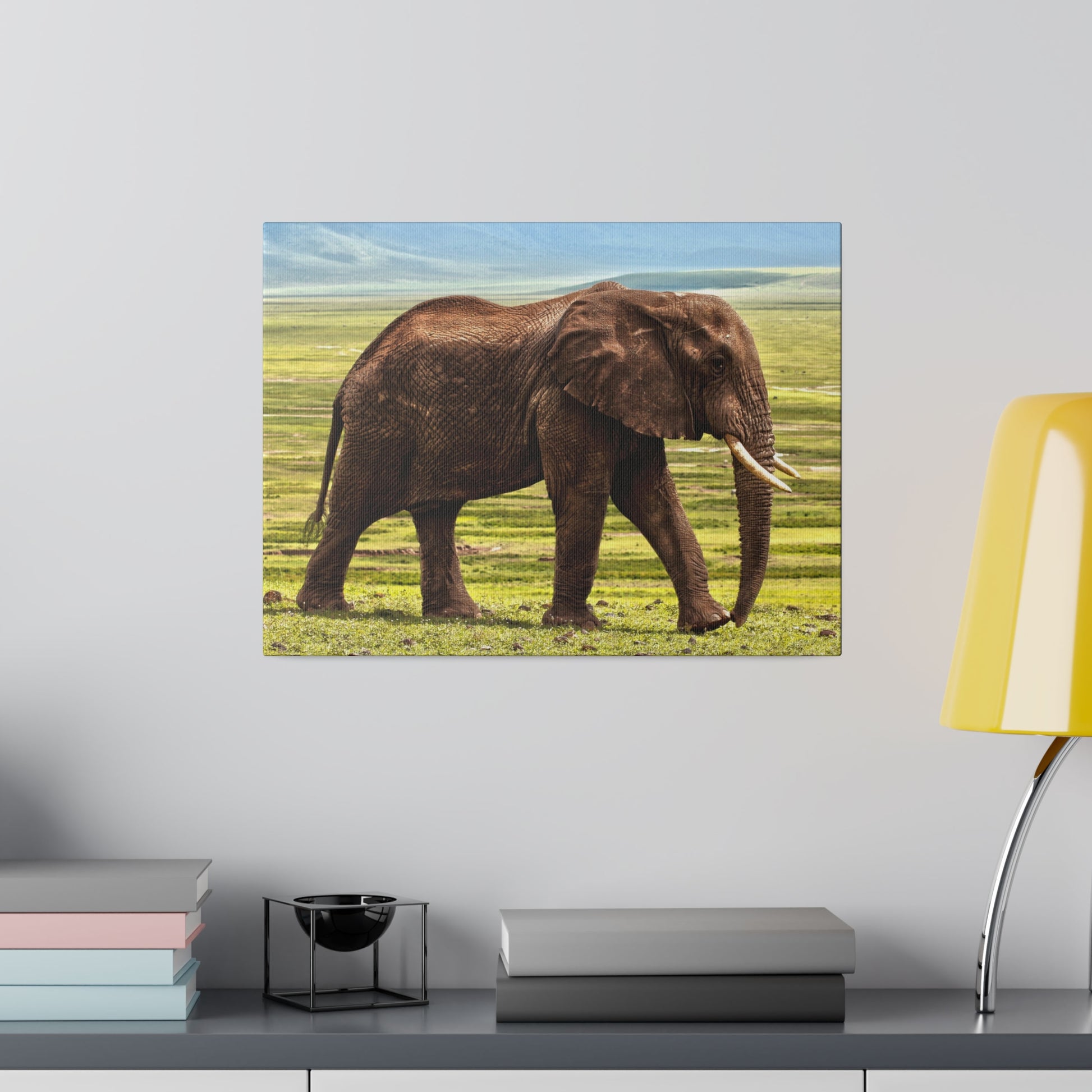 Brown African elephant walking on a grassy plain with visible tusks under a blue sky.
