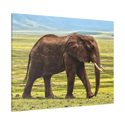 Photograph of a brown adult African elephant standing in a grassy savannah with distant mountains on the horizon.