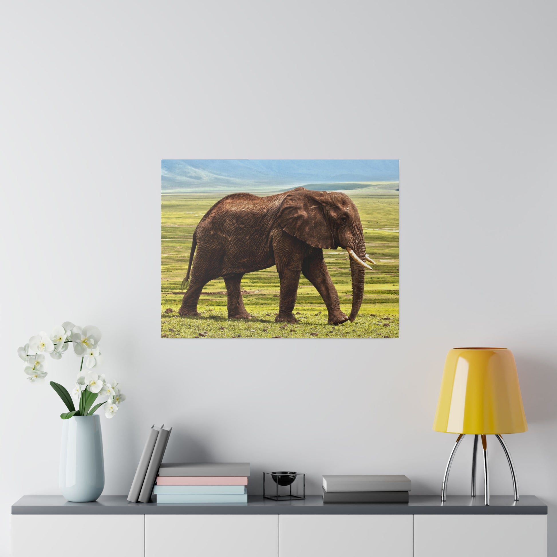 Brown elephant with tusks walking on a grassy plain under a blue sky.