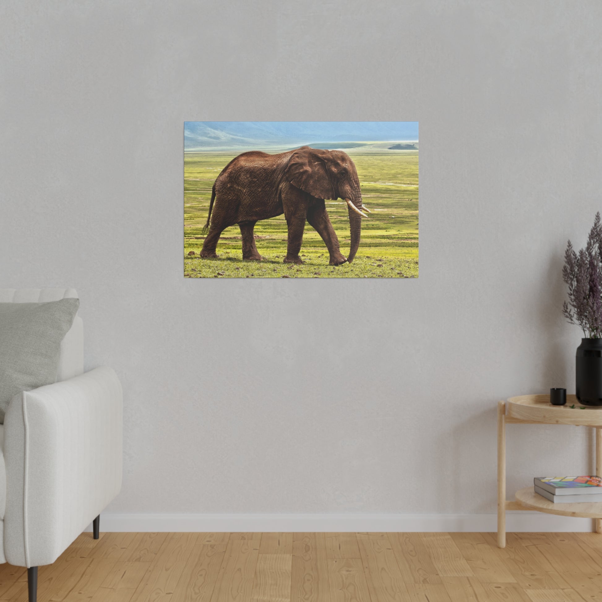 Framed photo of a brown African elephant walking across a grassy savanna under a blue sky.