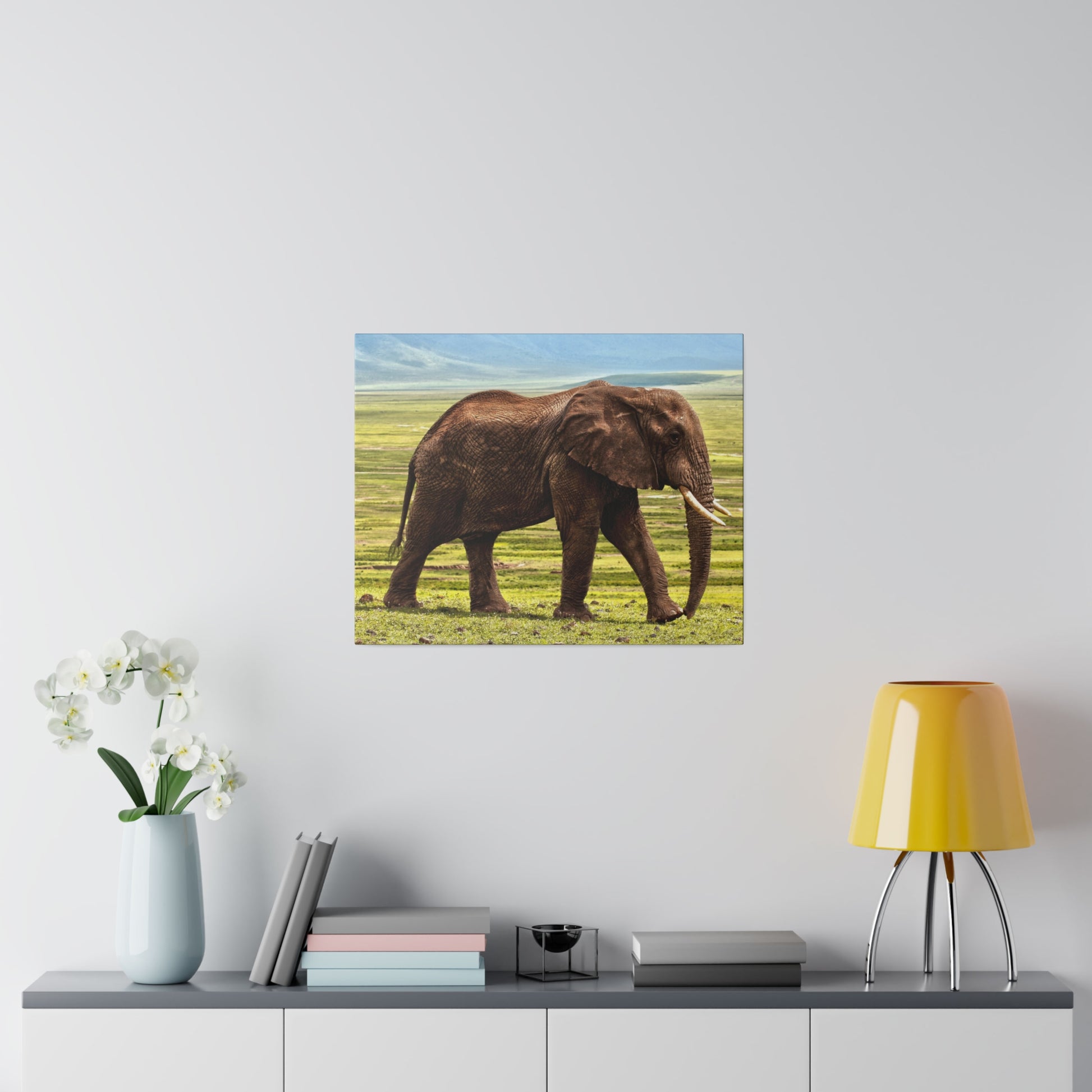Canvas print of a brown elephant with tusks walking across a grassy plain, mounted on a light-gray wall.