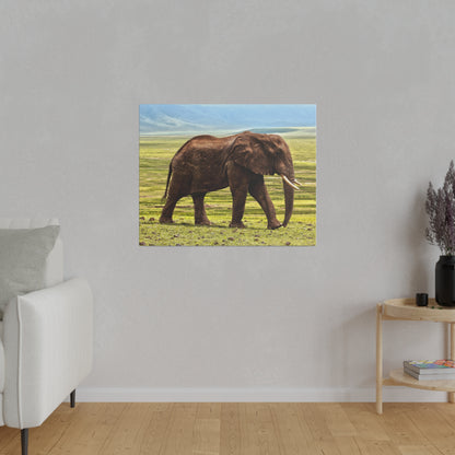 Photograph of a brown African elephant walking on a grassy savanna with distant mountains.
