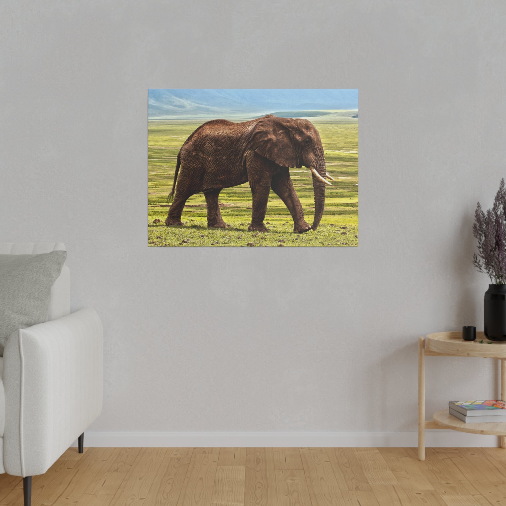 Brown African elephant with tusks walking across a grassy savannah under a blue sky.