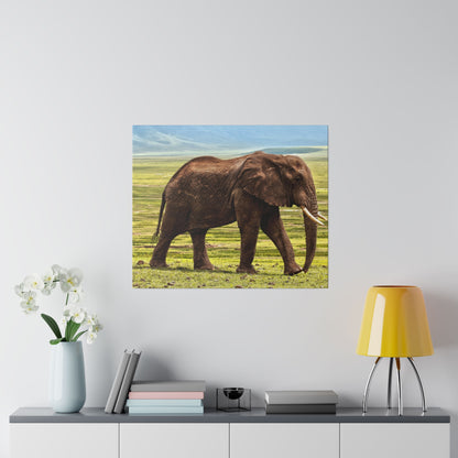 Square wall art print of a brown elephant walking across a grassy savanna under a blue sky.