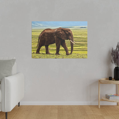 Brown African elephant walking across a grassy savanna under a blue sky, shown as a wall-mounted print.