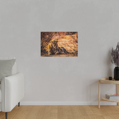 Framed wall art showing a reclining lion in warm, golden tones on a gray living-room wall.