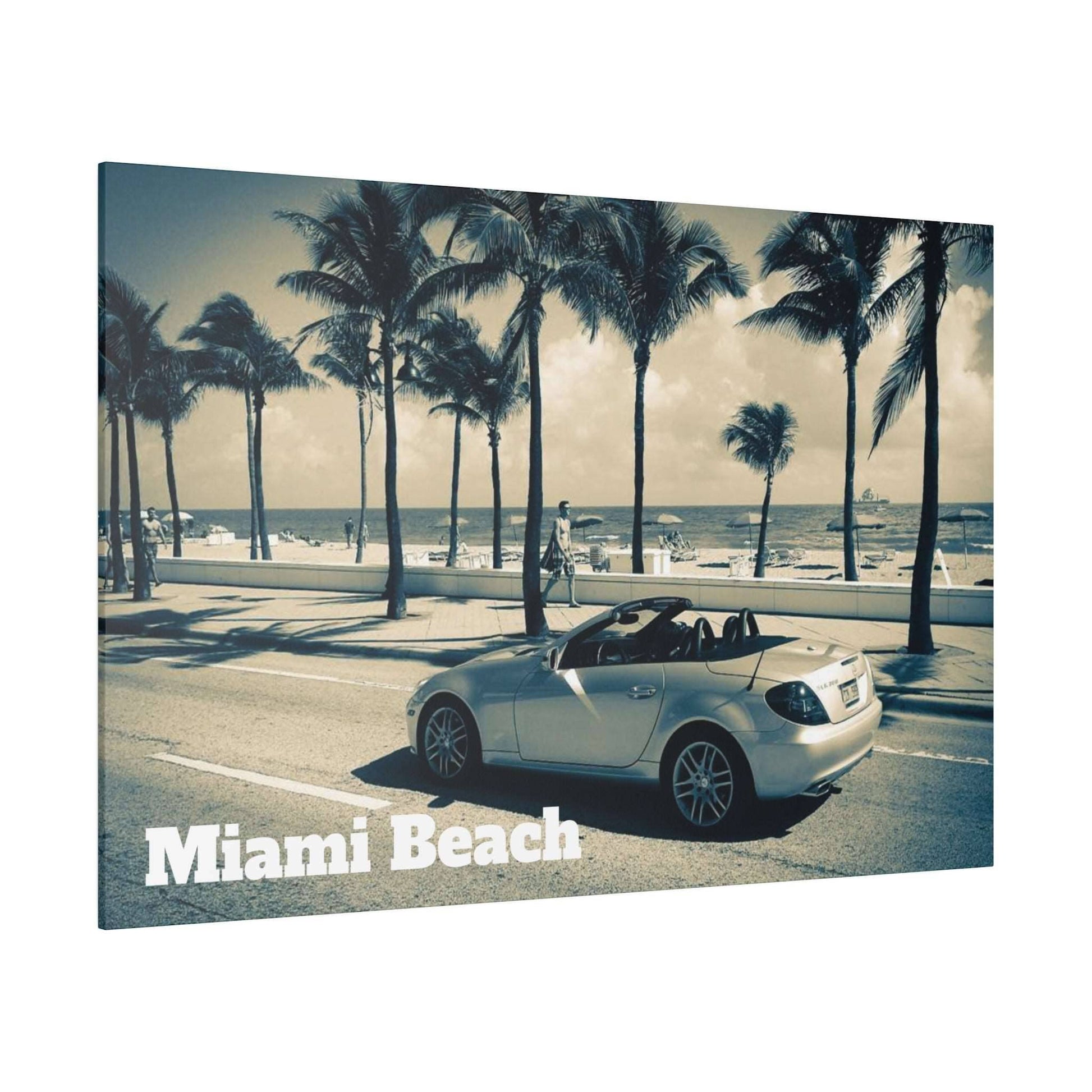 Silver convertible parked along a palm-lined beach road with the Miami Beach shoreline in the distance.