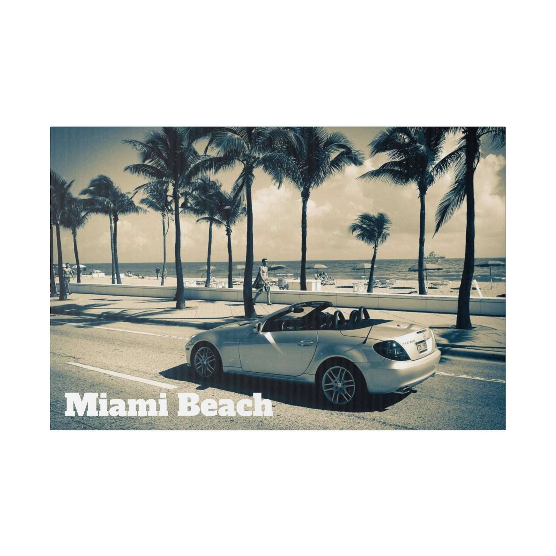 Silver Mercedes-Benz convertible parked on a coastal street with palm trees and the beach in the background.