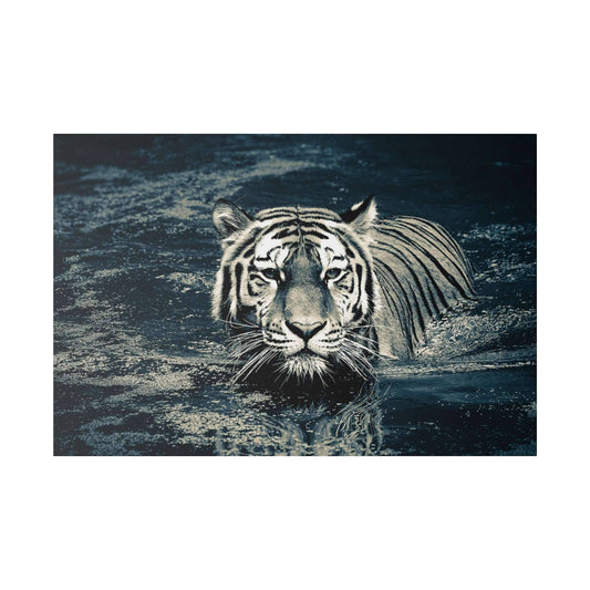 White tiger swimming in dark blue water, its striped fur wet and facing forward.