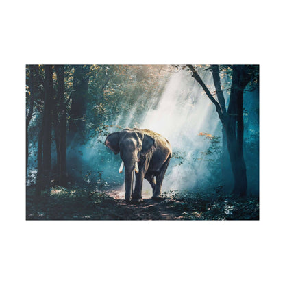 Elephant walking on a forest path with sunlight streaming through the trees.