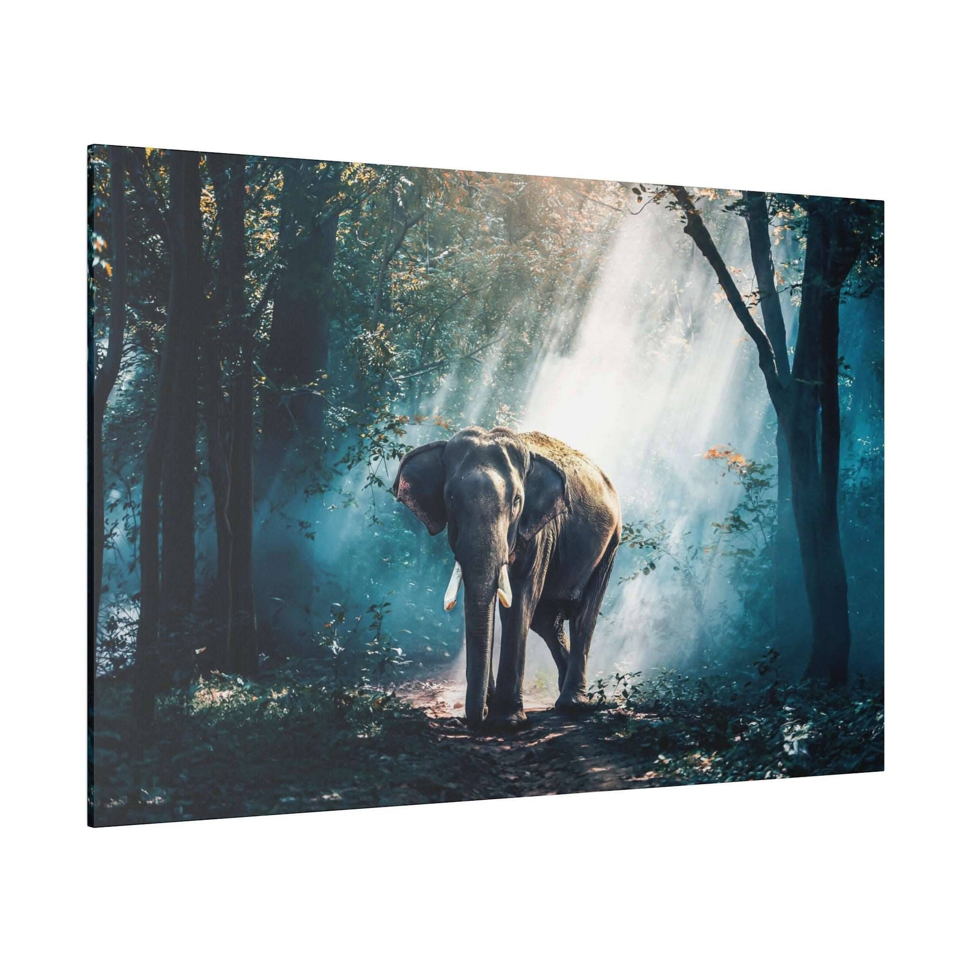 Canvas print of an elephant walking in a sunlit forest, with light beams filtering through the trees.