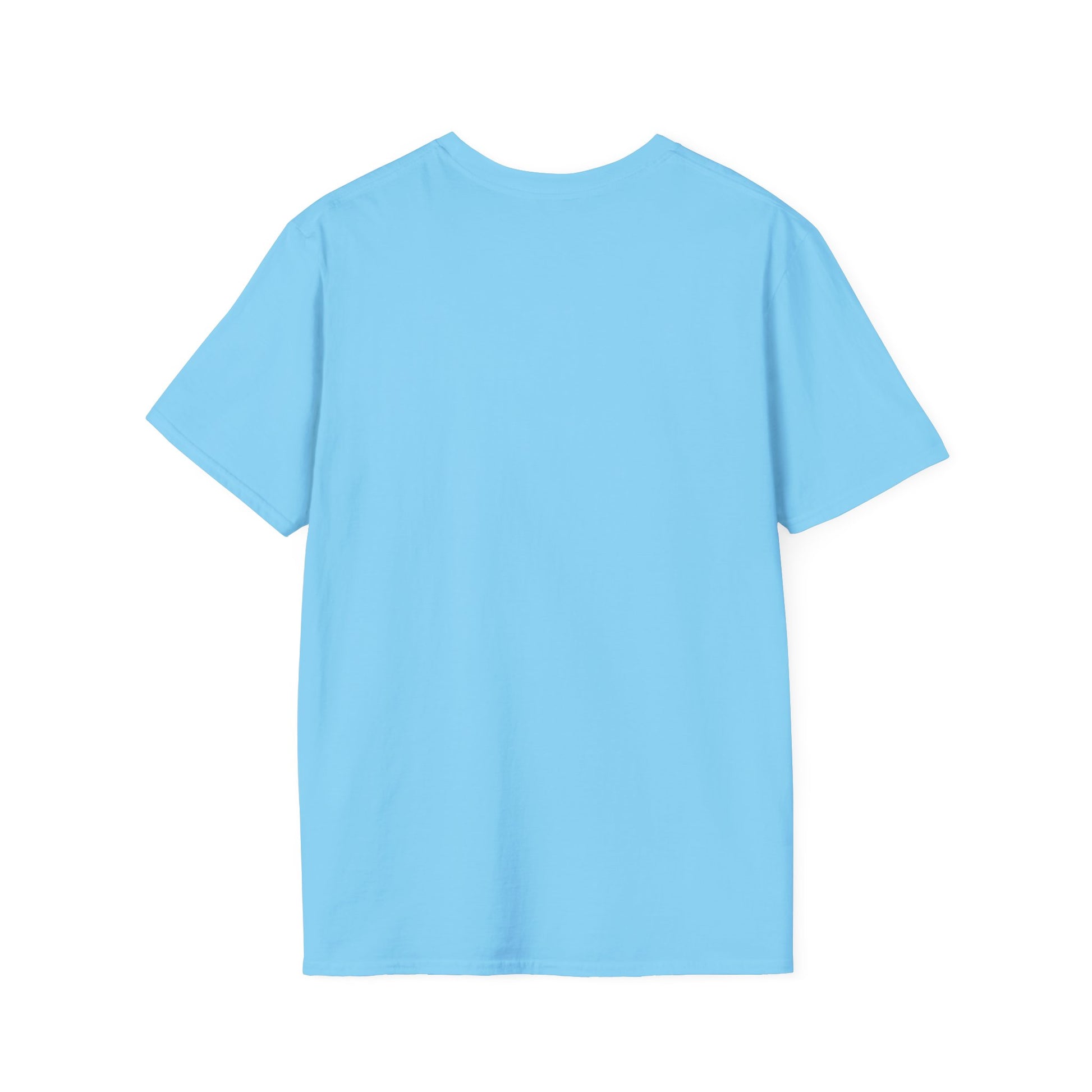Back view of a plain light blue short-sleeve T-shirt laid flat.