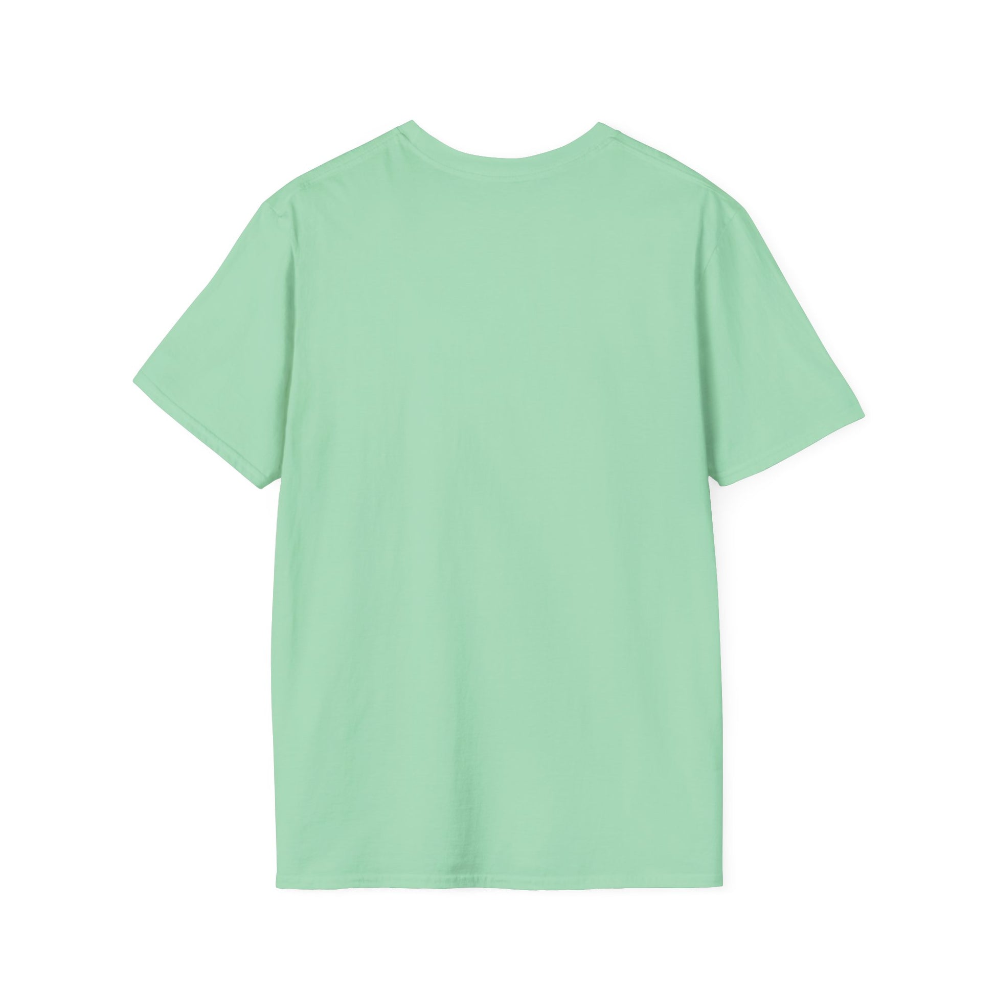 Back view of a light mint green short-sleeve T-shirt with a plain, smooth fabric.
