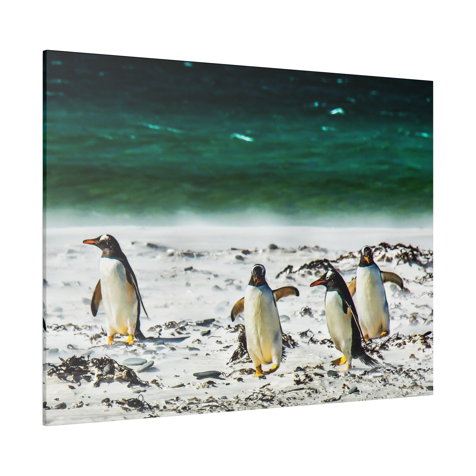 A gathering of penguins on a beach near the ocean, with the waves providing a peaceful backdrop. The sandy beach and seaweed enhance the natural setting.