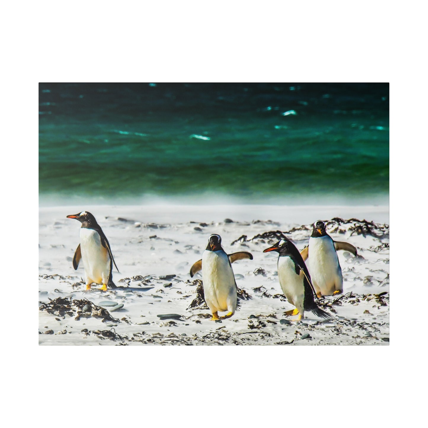 Penguins by the ocean side, strolling along a sandy beach with the waves in the background. The serene scene highlights the natural beauty of the penguins.