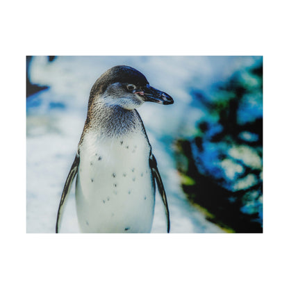 A penguin standing on snow, facing left, with a blurred blue and green icy background.
