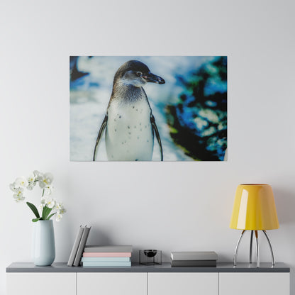 Wall art showing a penguin with a white belly and gray-black head on an icy background.