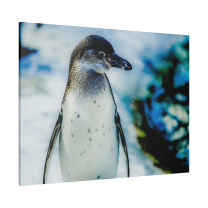 Close-up of a penguin standing upright, white chest with small black spots and grey neck feathers, against a blue, blurred background.
