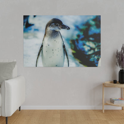 Close-up of a penguin standing upright on white snow, with a blue, rocky background.