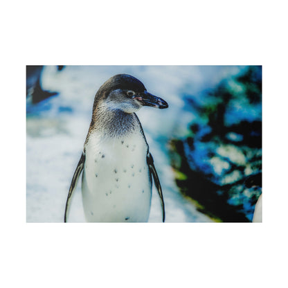 A penguin with a white chest and gray-speckled back stands on icy, snowy terrain.