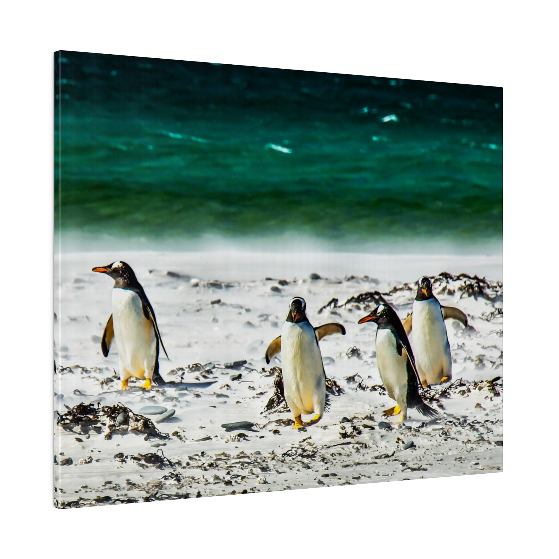 A group of penguins walking along the coast, with the green-blue ocean in the background. The serene beach setting highlights the natural beauty of the penguins.